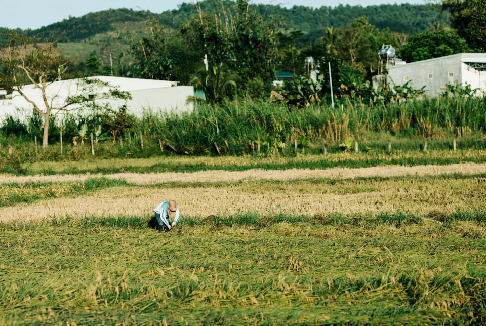 Kho gạo của Doãn Đức Sỹ